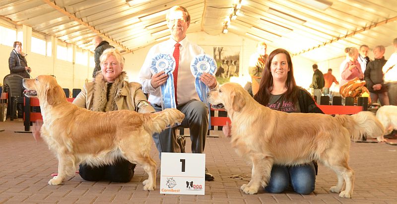 Nieuwjaarshow Kerkwijk 2016 116 kB